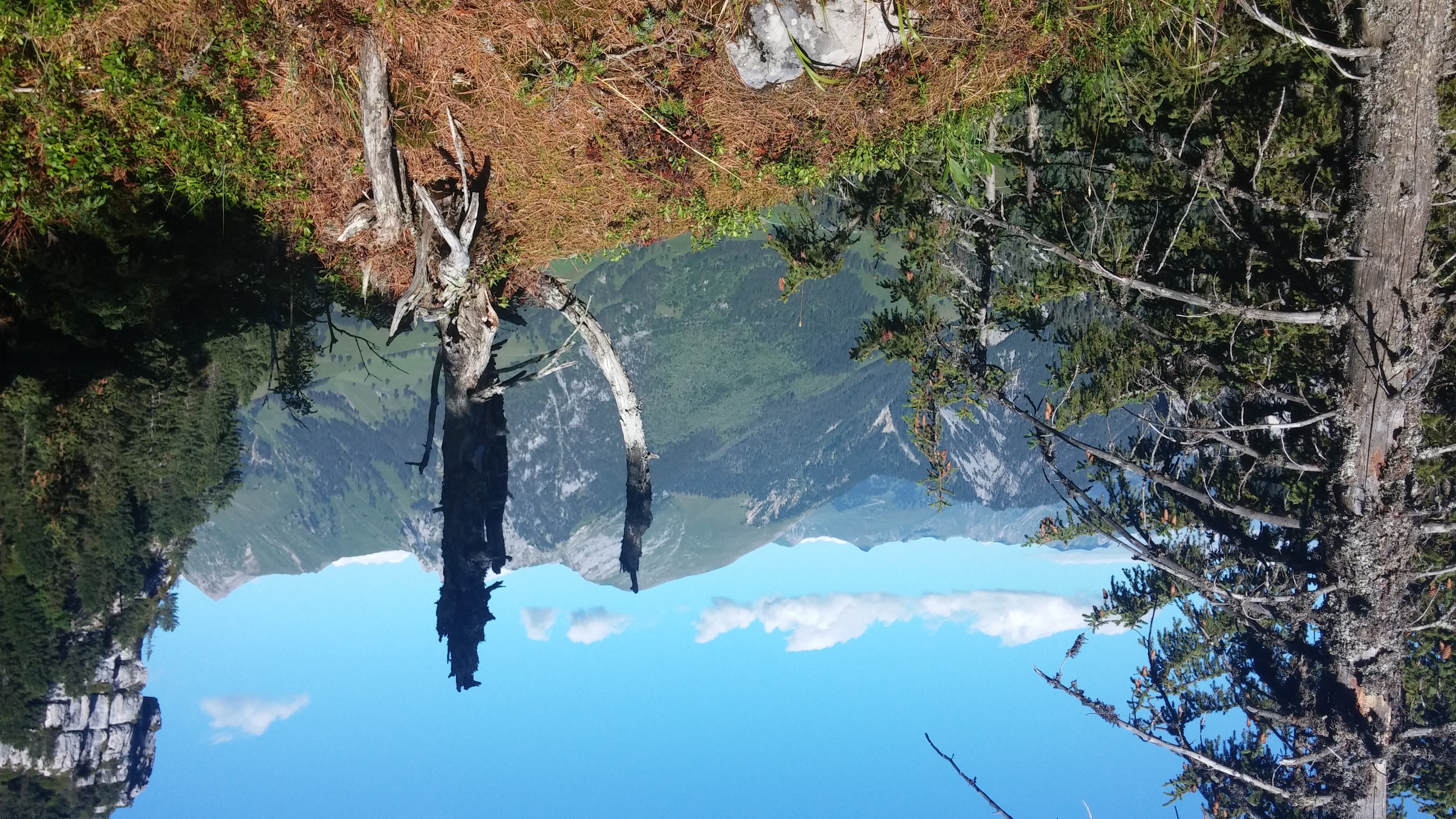 Unter der Girehore, Blick aufs Wiriehorn von Westen